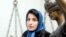 نسرین ستوده، وکیل زندانی