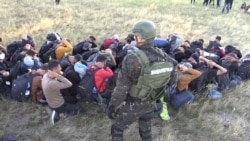 Emigrantët poshtërohen në kufirin Serbi-Hungari