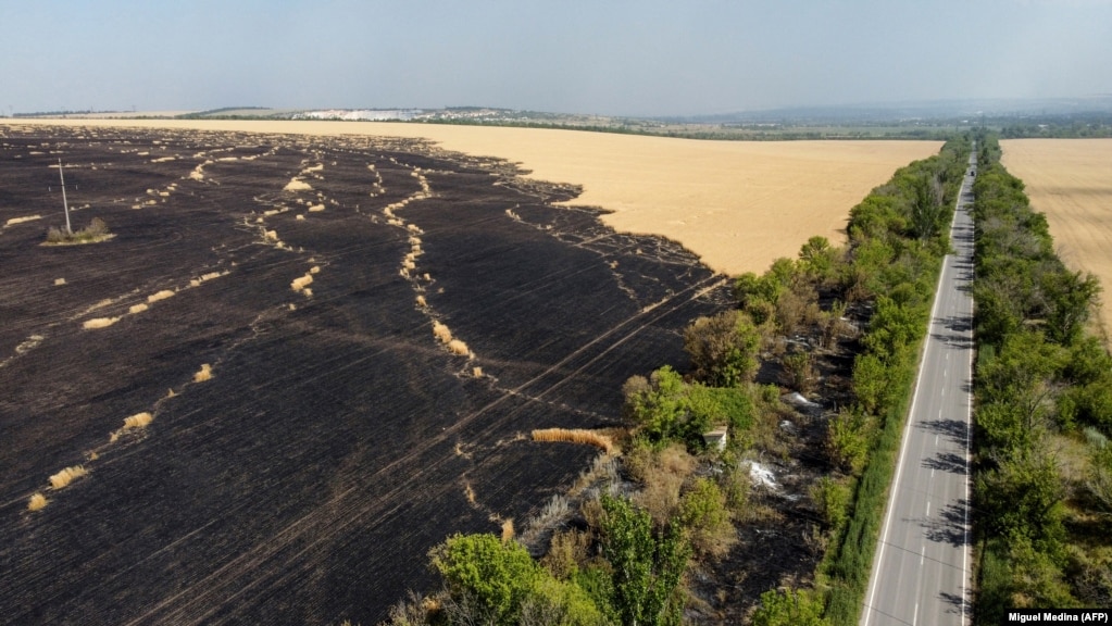 Një fotografi e realizuar më 8 korrik tregon shkatërrimin e një fushe me grurë në afërsi të Siverskut, në rajonin e Donjeckut. Zjarret në fushat e grurit mund të shkaktohen lehtë edhe nga shpërthimet ose nga copëzat e ndezura të artilerisë.  