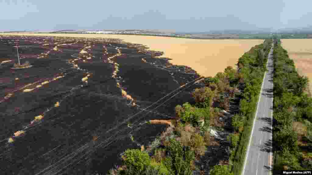 Цілком випалене пшеничне поле неподалік Сіверська Донецької області. Аерофотознімок від 8 липня 2022 року. Пожежі на сухих пшеничних полях можуть легко виникнути від вибухів або розпечених уламків артилерійських снарядів