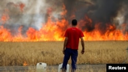 Čovjek promatra vatru u polju pšenice između Tabare i Losacia, tokom drugog toplinskog vala u godini, u pokrajini Zamora, Španjolska, 18. jula 2022.