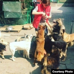 Зоозащитница Айгуль Имбергенова угощает вкусностями собак из приюта «Аяныш»