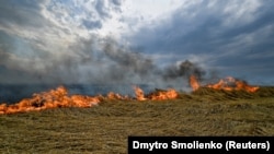 Galerie foto | Grâul ucrainean arde. Pericolul crizei alimentare devine iminent