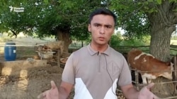 Президент маслаҳатчиси ўринбосари ҳам тадбиркорга ёрдам беролмади