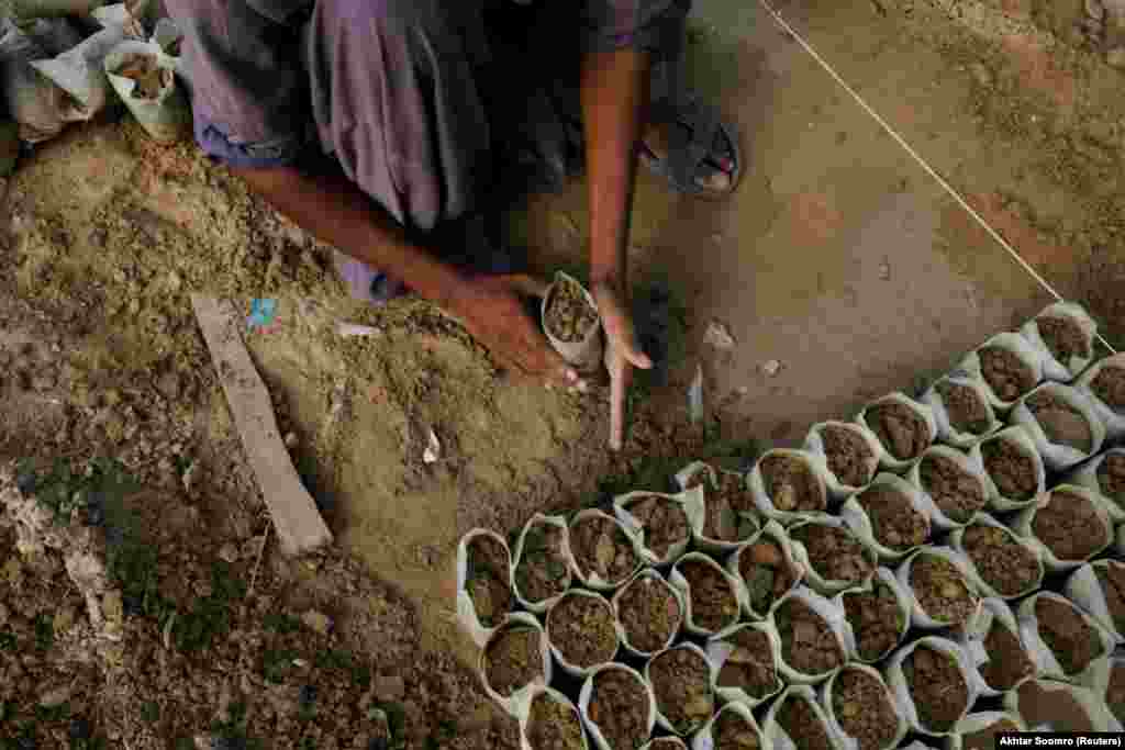 A worker prepares planting bags for seedling plants. Forest cover in Pakistan is approximately 5.4 percent, according to Syed Kamran Hussain of the World Wide Fund for Nature, compared to 24 percent in neighboring India and 14.5 percent in Bangladesh. High temperatures, water runoff, and poor air quality are all caused by Pakistan&#39;s lack of forest cover. To remedy the situation, both state-owned and private initiatives have been launched. &nbsp;