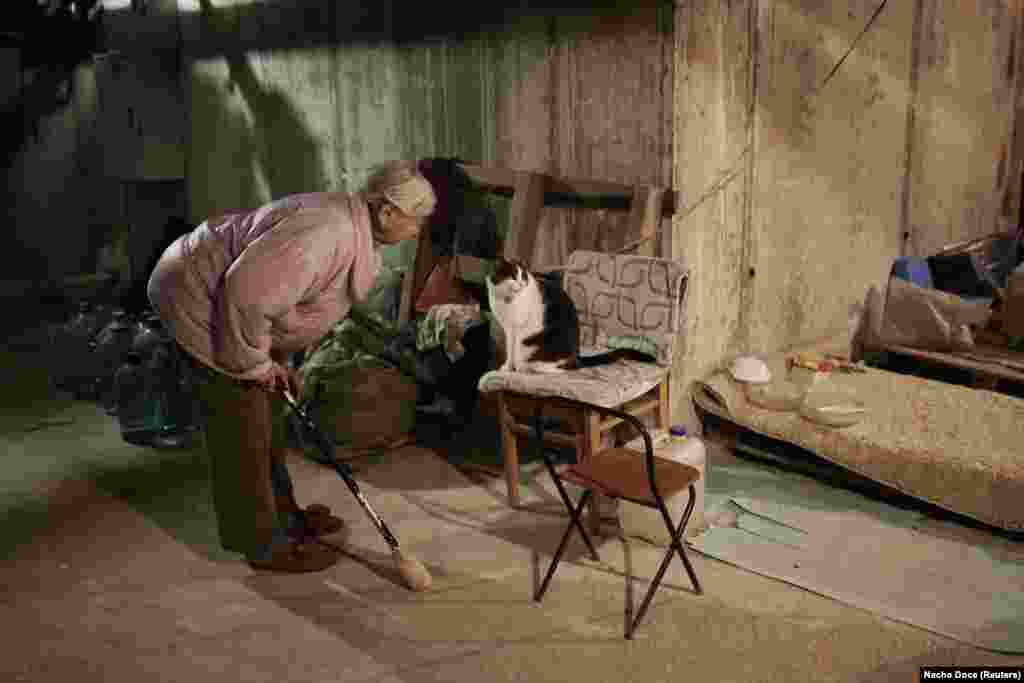Николаевна разговаривает с котом, который живет с семьей в подвале