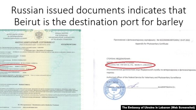 Фрагменты презентации посольства Украины в Ливане для пресс-конференции о наличии украинского зерна на судне LAODICEA в порту Триполи. Иллюстрации предоставлены дипломатическим ведомством