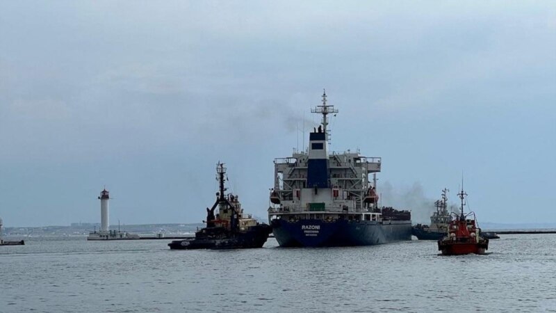 Prvi brod s ukrajinskim žitaricama stigao do Istanbula