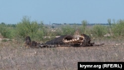Вбита корова на узбіччі дороги в селі Іванівка