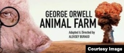 Афиша спектакля Animal Farm в постановке Алексея Бураго