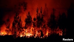 Një njeri shihet duke kaluar pranë një pylli të kapluar nga zjarri në rajonin Zhironde të Francës, 17 korrik 2022.
