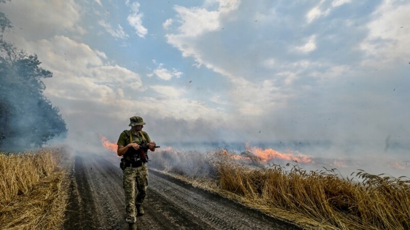 Ukrayina boğdayı ateş içinde: global azıq buhranı keskinleşe (fotresimler)
