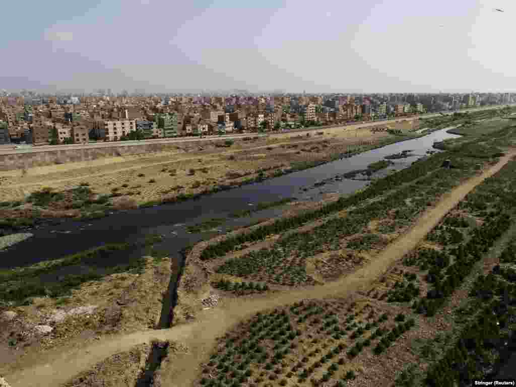 With the help of authorities, the community, and volunteers, the once-illegal dumping ground has been transformed into an urban forest.