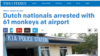 Կիլիմանջարոյի օդանավակայանում ձերբակալվել են «Ջամբո պարկ»-ի հայ սեփականատերերը