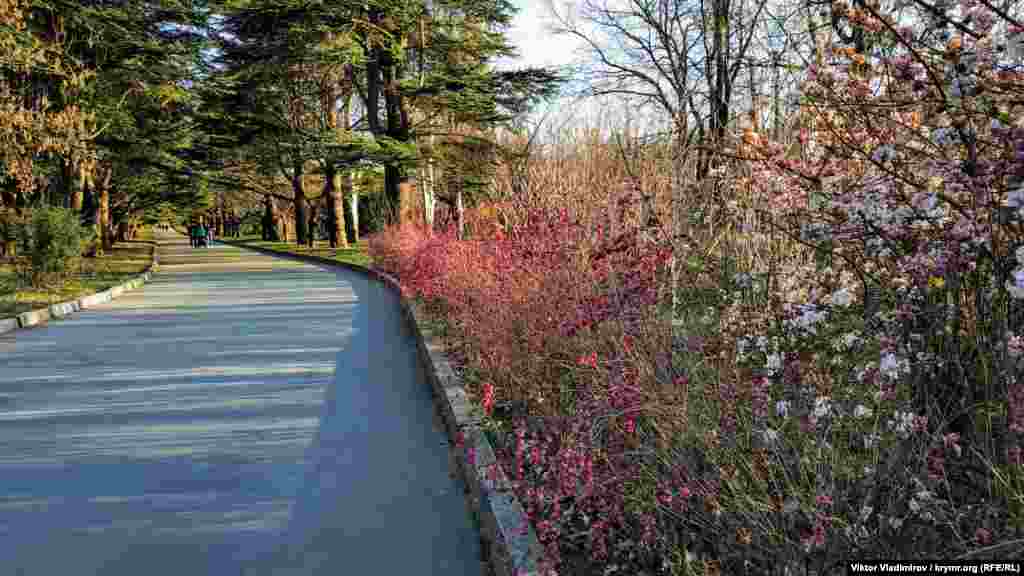 За последние 15 лет в ботаническом саду разбили десяток цветочных экспозиций. Среди них иридарий и розарий, лабиринт, а также малая и большая цветочные поляны