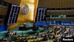 БМО гомум мәҗлесе утырышы