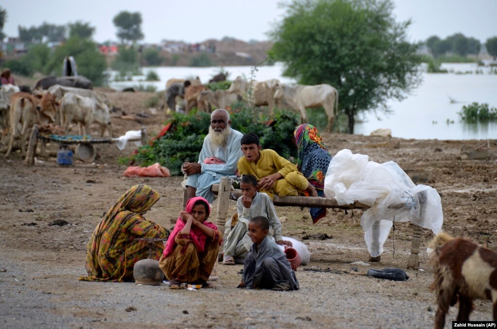Një familje pakistaneze e zhvendosur duke qëndruar skaj rrugës pasi u largua nga shtëpia shkaku i përmbytjeve në Nasirabad, një distrikt i provincës Balochistan në jugperëndim të Pakistanit. Përmbytjet e shkaktuara nga shirat e dendura deri më tani kanë marrë jetën e më shumë se 1 mijë personave në të gjithë Pakistanin gjatë dy muajve të fundit, sipas të dhënave të autoriteteve të publikuara më 28 gusht.