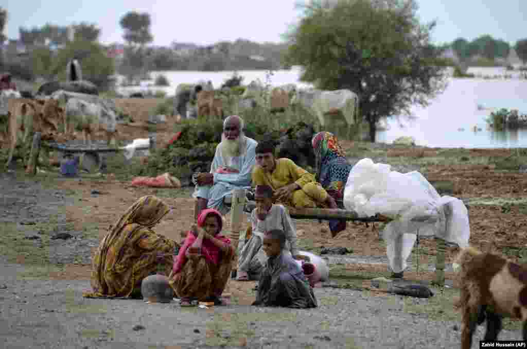 A displaced Pakistani family take refuge on a roadside after fleeing their flood-hit home in Nasirabad, a district of Pakistan&#39;s southwestern Balochistan Province. Flash floods caused by abnormally heavy monsoon rains have killed at least 777 people across Pakistan over the last two months.