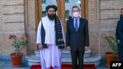A tálibok külügyminisztere, Mavlavi Amir Hán Muttaki (balra) Vang Jivel, a kínai külügyek vezetőjével Kabulban 2022 márciusában