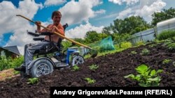 Антон Кайнов работает в своём огороде на старой дорогой коляске — подарке благотворителя. На тех, что бесплатно выделяет инвалидам соцстрах, особо не развернёшься. 
