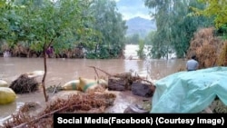 در بسیاری از مناطق زمین های ززراعتی در نتیجه سرازیر شدن سیلاب ها آسیب دیده اند