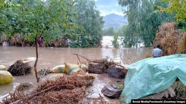 سلګونه جریبه ځمکه هم وروستیو سېلابونو ویجاړه کړې ده