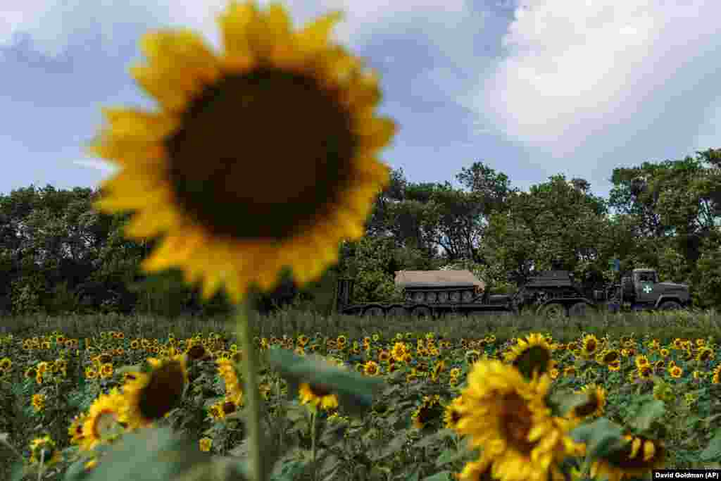An armored personnel carrier is transported past a sunflower field toward the front line in the Donetsk region of eastern Ukraine.