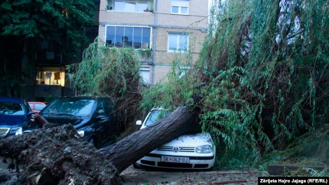 Pemë e rrëzuar mbi një veturë në Shkup. 30 gusht 2022.
