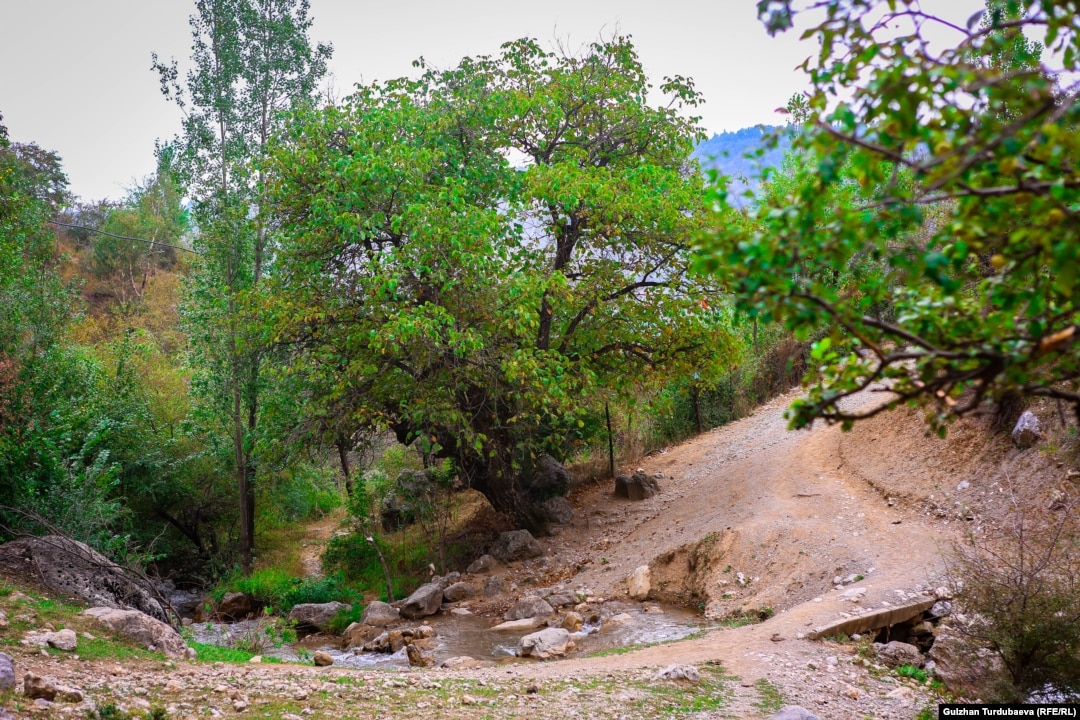 Ferro Network тегін порно видео