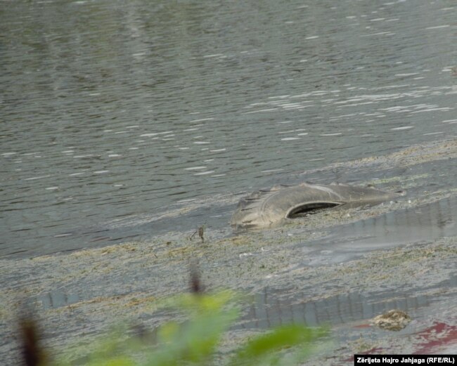 Në Vardar, qytetarët thonë se hidhen mbeturina të ndryshme, përfshirë edhe goma si kjo në fotografi.