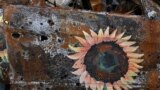 A sunflower, the national flower of Ukraine, is seen on a burned-out car in Irpin, near Kyiv. The installation is causing dismay among some Ukrainians, while others hail the novel approach to raising money for the nation&#39;s artistic community, which is languishing during the war.