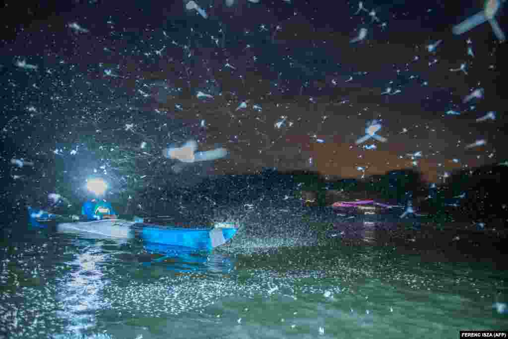 A swarm of mayflies flies over the surface of the River Danube after sunset in Szentendre, north of Budapest, Hungary, on August 9.