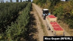 Piața rusească rămâne importantă pentru producătorii moldoveni, chiar dacă accesul lor acolo a fost îngreunat de invazia Rusiei în Ucraina.