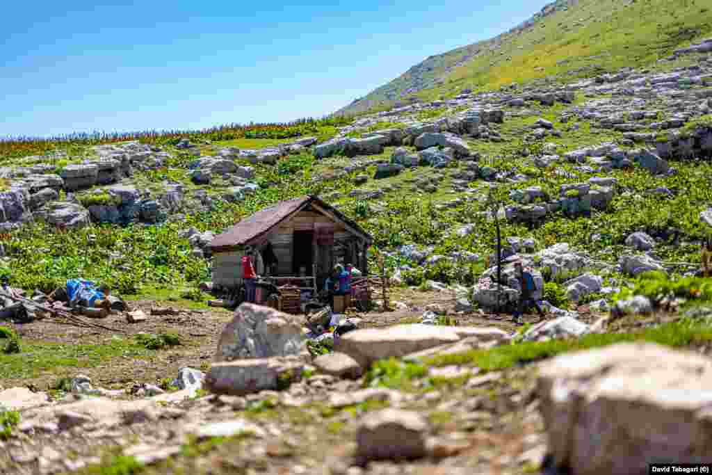 The cheese-making takes place in mountain huts like this one, which belongs to the Bzhalava family.