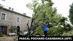 Palo drveće od oluje na Korzici