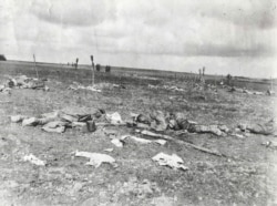 Поле бою пасьля бітвы пад Паставамі, канец сакавіка 1916 году