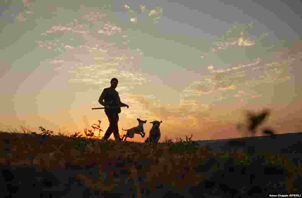 Ivaylo Penev hunts for truffles at dusk with his dogs, Diablo and Dino.&nbsp; &nbsp;