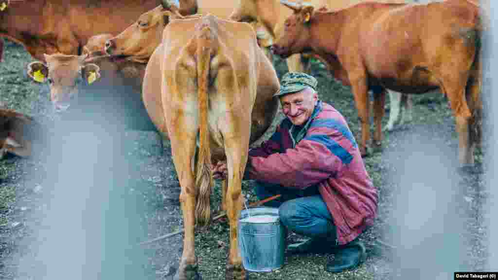 Всяко лято Владимир Бжалава (на снимката) и двамата му по-малки братя се отправят към планините Самегрело. Там гледат стадото си крави и правят сулгуни от тяхното мляко.