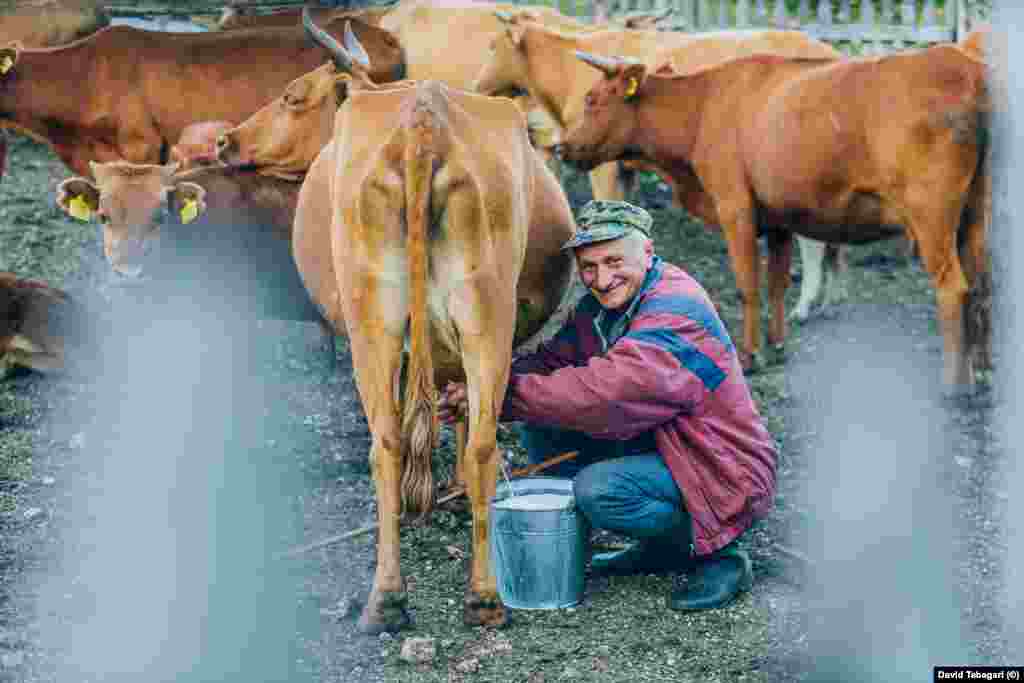 Each summer, Vladimir Bzhalava (pictured) and his two younger brothers head up to their mountain station in the Samegrelo mountains to spend summers tending their herd of cows, and making sulguni from their milk.