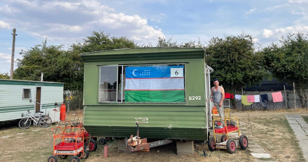 Сексуалды өзбектер