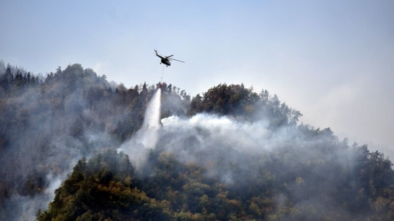 МВД Грузии: большая часть очагов пожаров в Боржоми ликвидирована
