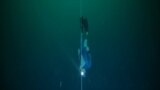 VIDEO GRAB: French Freediver breaks world record with 120m deep dive