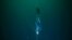 VIDEO GRAB: French Freediver breaks world record with 120m deep dive
