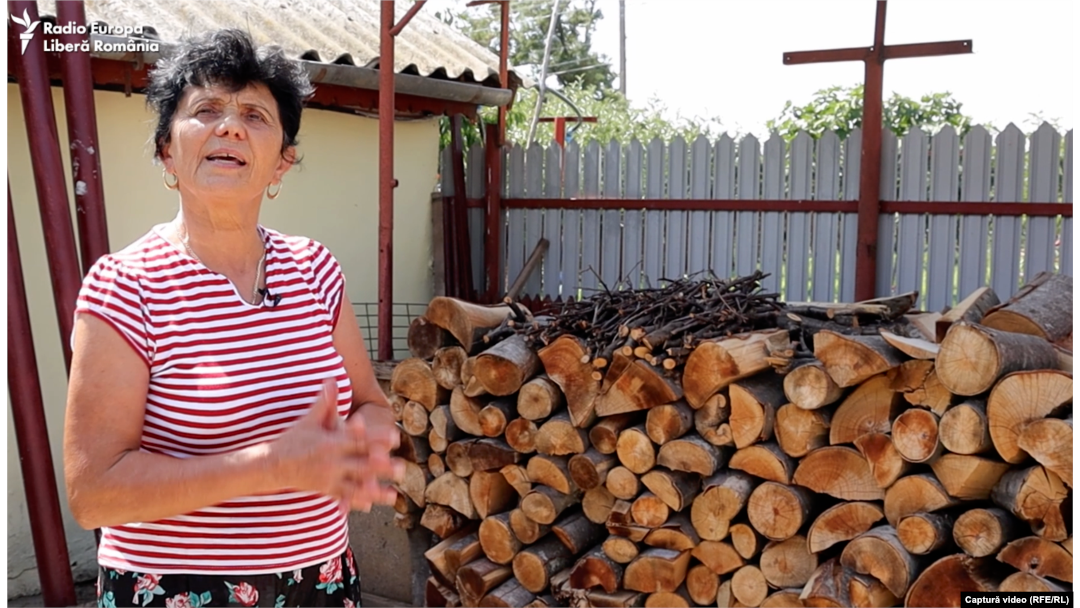 Pentru iarna care vine, Mirela Dobrescu a cumpărat lemne de 5.000 de lei.
