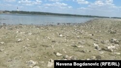 Seceta a scăzut nivelul Dunării între Beocin și Futog, Serbia, 4 august 2022
