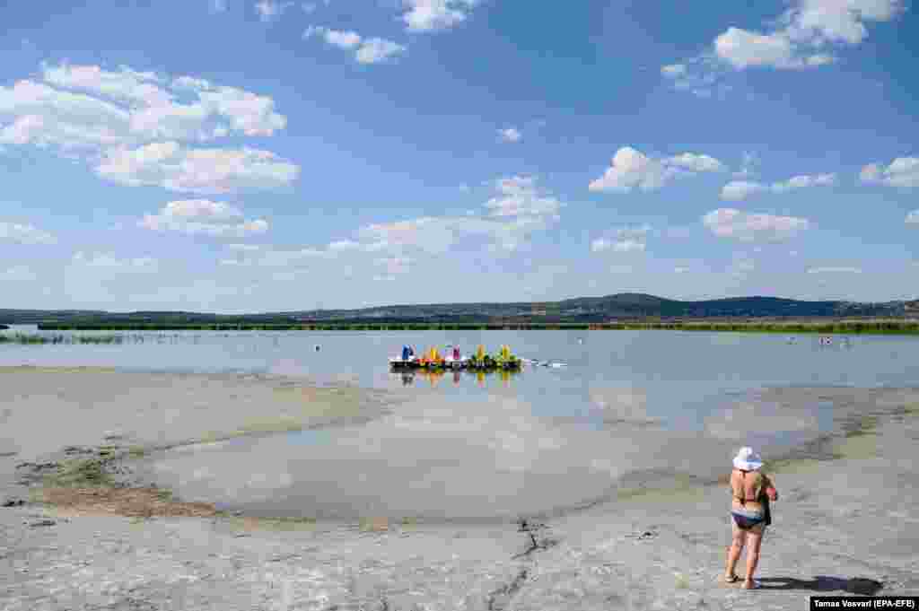 Një grua pranë bregut të liqenit Velencei në Gardony, Hungari. Për shkak të nxehtësisë dhe thatësirës, niveli i ujit në liqen ka rënë në 55 centimetra, 8 centimetra nën nivelin më të ulët të matur ndonjëherë.