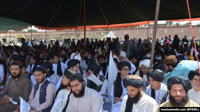 د راپورونو پر اساس طالبان په ډېری ادارو کې د پخواني مسلکي کارکوونکو پر ځای د مدرسې فارغين، يا د دوی جنګيالي ګماري.