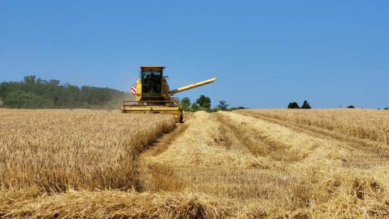ВМРО-ДПМНЕ:Власта купила пченица поскапа од берзанската 