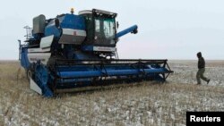 Fotografi ilustruese