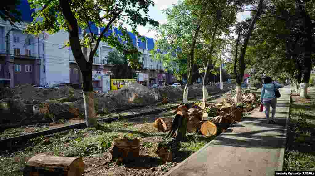 Поруч зі спиляними деревами дорожники відразу ж риють траншею під закладання комунікацій